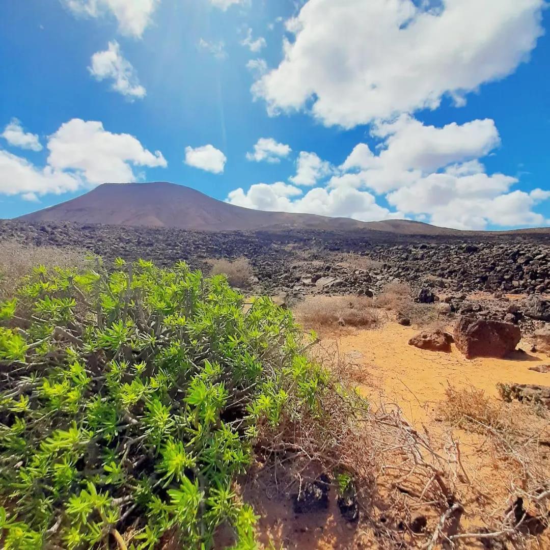 Casa Alma Corralejo Bristol公寓 外观 照片